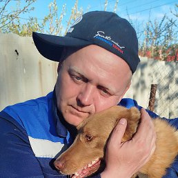 �������, ������, 40 ���