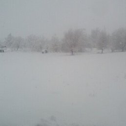 ���� ����, ����������, 41 ��� - ��������� 12 ������� 2025