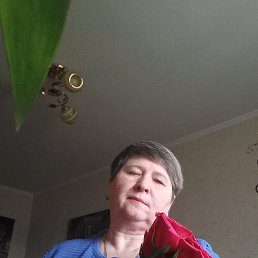 ���� �����, ���������������, 58 ��� - ��������� 11 ������ 2023