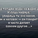 ���� �����, ���� - ��������� 14 ���� 2026 � ������ ���� ����������