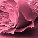 ���� ������, ����� - ��������� 1 ���� 2025 � ������ ������ ��������