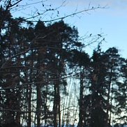 ������, 60 ���, ������ ��������