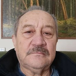 �����, ��������, 65 ���