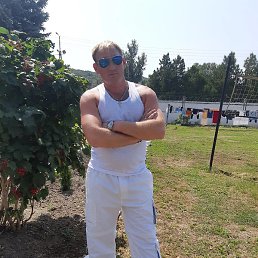 ������, ������, 41 ���