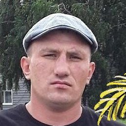 ��������, ������, 35 ���