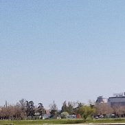 ����, 42 ����, �������