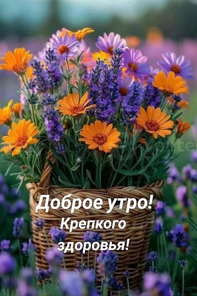 ���� - 29 ���� 2025 � 07:56