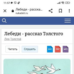 ����, �����, 44 ����