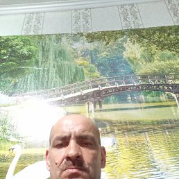 , 50 , 