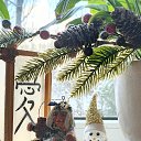 ���� ������, ��������, 42 ���� - ��������� 12 ������� 2025