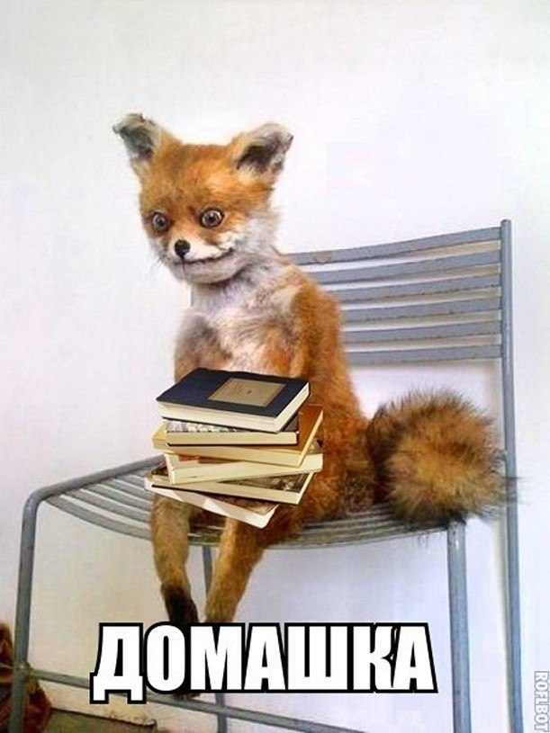 ☆   ☆ - 14  2025  16:11