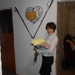 �����*����, ���������