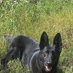 ���� ����, ������, 23 ���� - ��������� 12 ������ 2024