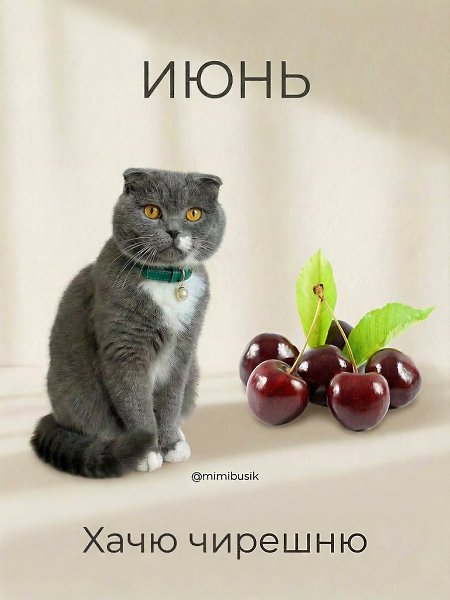 � � ��� ������� - 4
