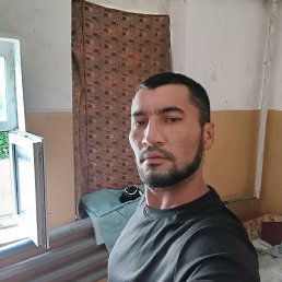 , 34, 