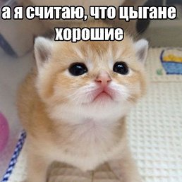 �����, ������, 26 ���