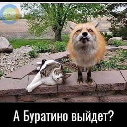 ���� ���, ������������, 47 ��� - ��������� 5 ������� 2023