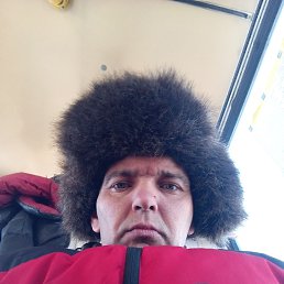 ������, 37 ���, ����������