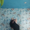 ���� �������, �����������, 52 ���� - ��������� 11 ������� 2026 � ������ ���� ����������