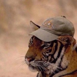 �����, �����, 25 ���