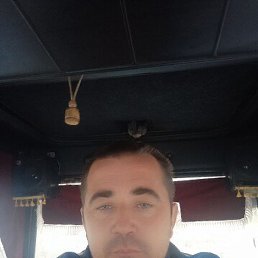 ������, ���������, 38 ���