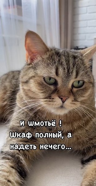 Всего несколько вещей, можно было бы запомнить - 2