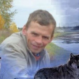 ������, �����������, 50 ���