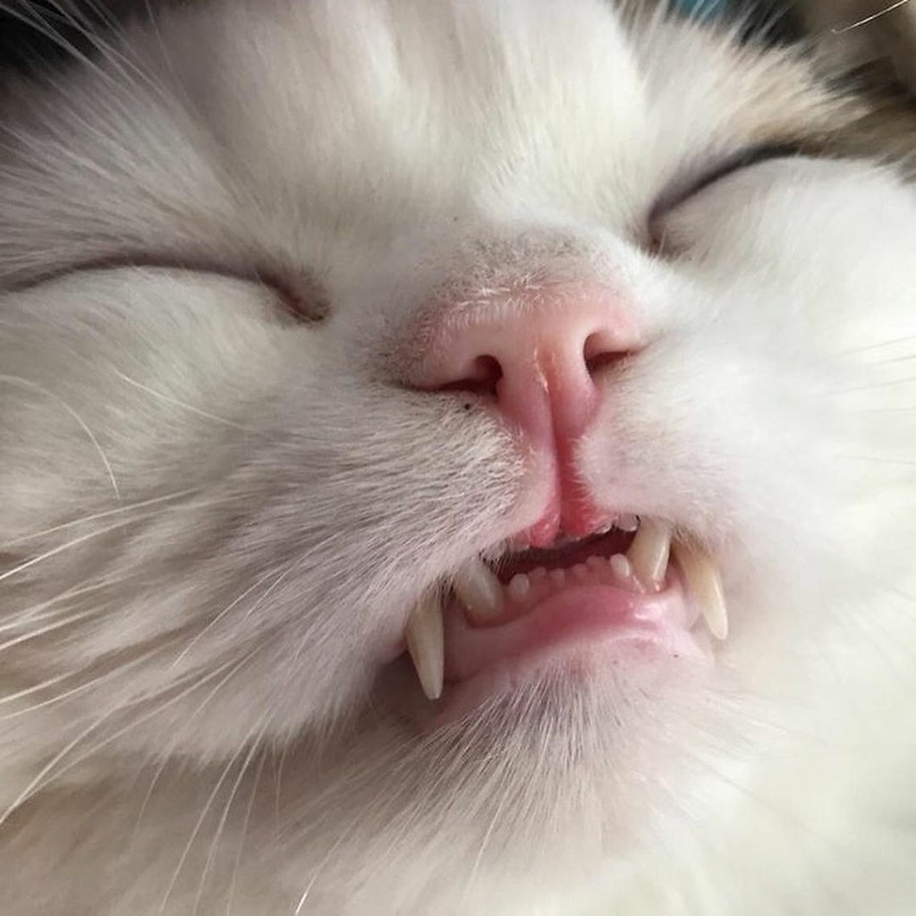     :3 - 3