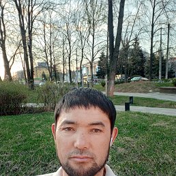 , 36, 