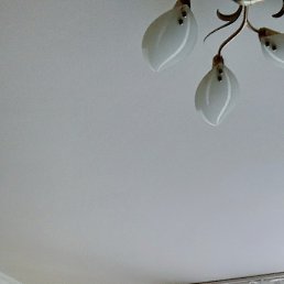 ���������, ������, 46 ���