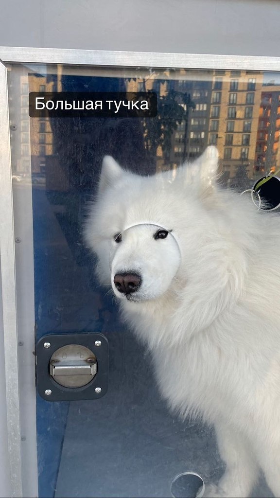 Цитаты виноват. Прибыть вовремя тип связи. К нашему удивлению предложение. Ошибка в людях цитаты. Rm -rf прикол.