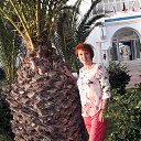 ���� ��������, ������, 57 ��� - ��������� 7 ��� 2025