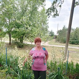 , 62, 