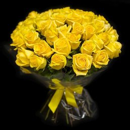 ���� �����, ������ - ��������� 2 ������ 2026