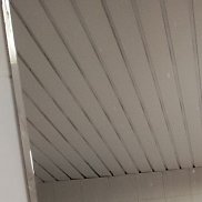 �����, 36 ���, �����