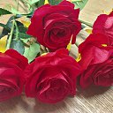 ���� �������, ����������, 39 ��� - ��������� 16 ������ 2026