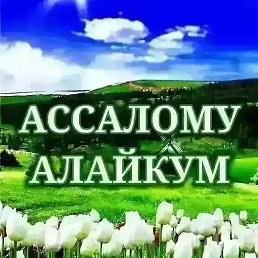 ����, �������, 40 ���