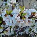 ���� ��������, �����������, 46 ��� - ��������� 22 ������� 2025 � ������ ���� ������ 2025�