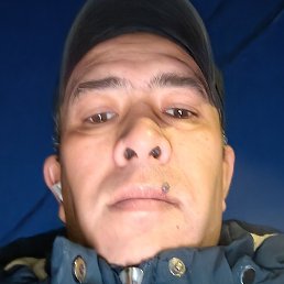 ����, ������, 41 ���