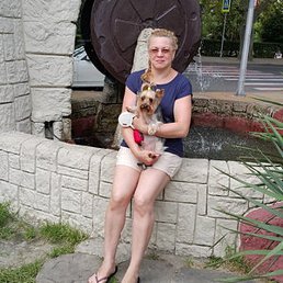 ���������, ����, 53 ����