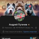 ���� ������, �����������, 36 ��� - ��������� 13 ������ 2026 � ������ ���� ����������