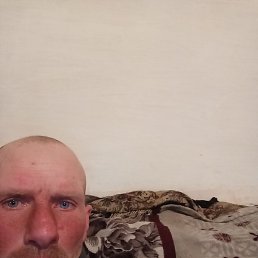 ��������, ������, 41 ���