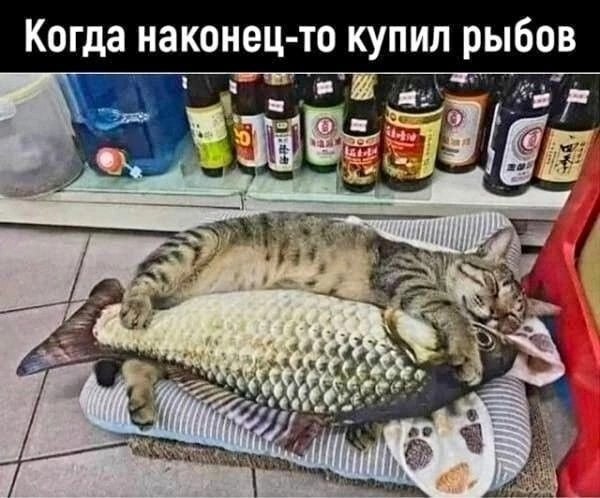 �������� - 12 ����� 2025 � 04:22