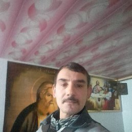 ����, 41 ���, ��������