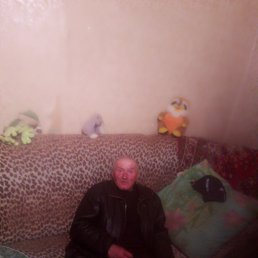 ������, 65 ���, �������