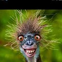 ���� ������, ��������� - ��������� 26 ������� 2025 � ������ ������ ��������