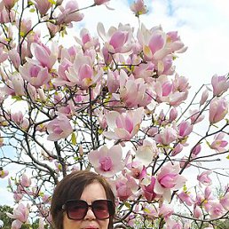 �������, ����, 67 ���