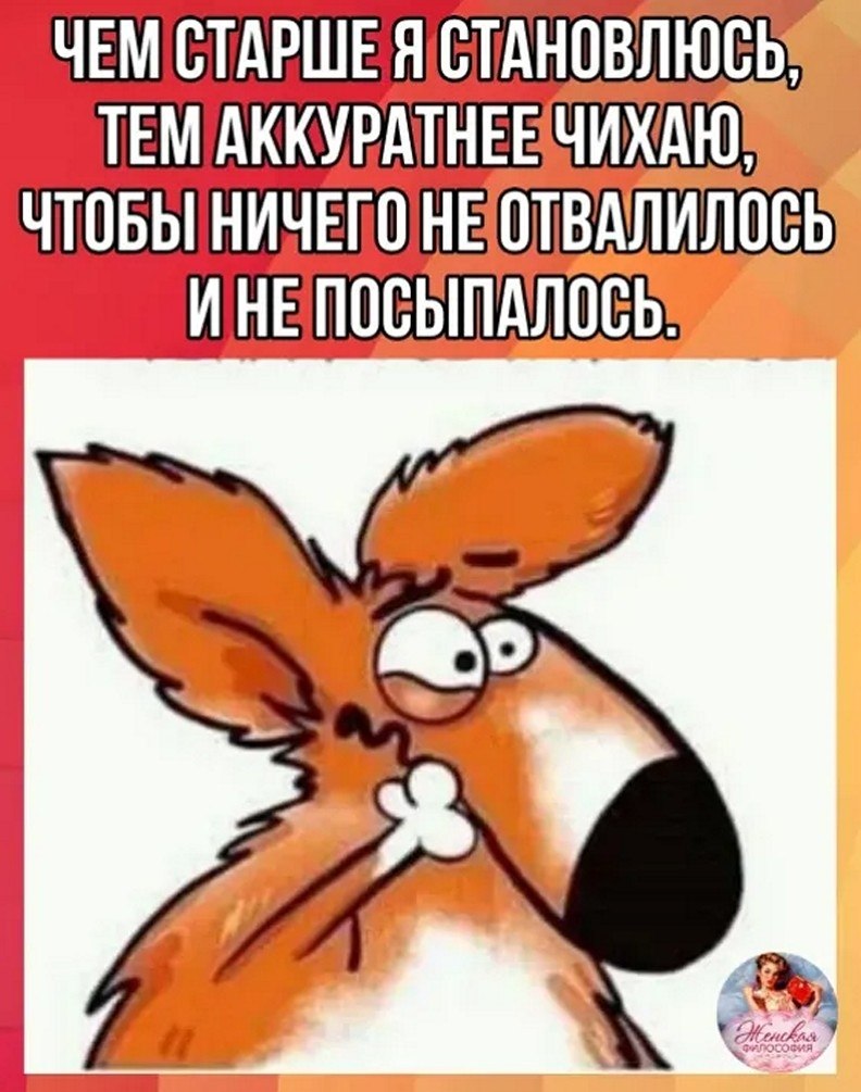 ☆ ☆ - 23  2025  08:22