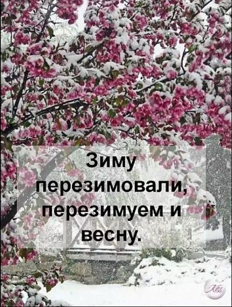   ! - 13  2024  06:40