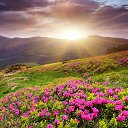 ���� �������, ������, 53 ���� - ��������� 30 ����� 2024 � ������ ���� ����������